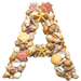 Shells type letter A