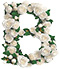 Roses type letter B