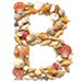 Shells type letter B
