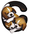 Puppies type letter C