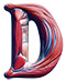 Muscles type letter D