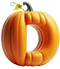 Pumpkin type letter D