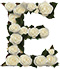 Roses type letter E