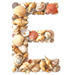 Shells type letter E