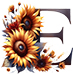 Sunflower type letter E