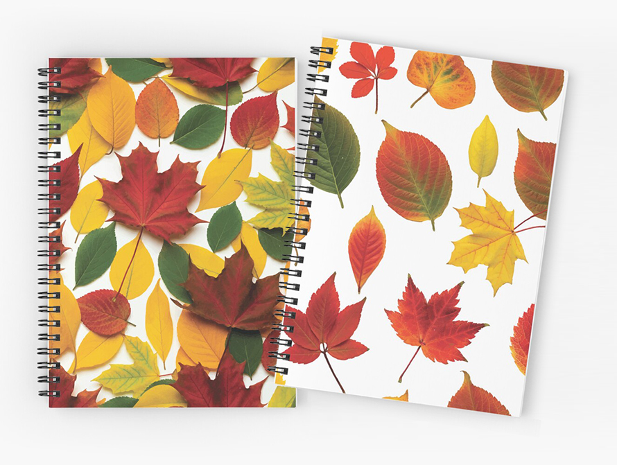 Fall pattern spiral notebooks