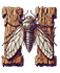 Cicada letter H