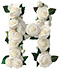 Roses type letter H