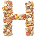 Shells type letter H