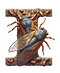 Cicada letter I