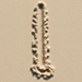 Sand type letter I