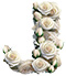 Roses type letter J