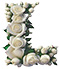 Roses type letter L