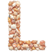 Shells type letter L