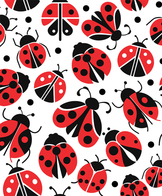 LADYBUGS ALLOVER PATTERN