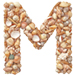 Shells type letter M