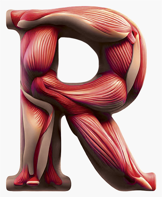 MUSCLES LETTER R