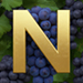 Vineyard type letter N