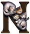 Kittens letter N