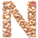 Shells type letter N