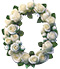 Roses type letter O