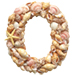Shells type letter O
