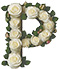 Roses type letter P