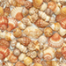 Shells
