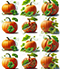 Pumpkins Overall Pattern