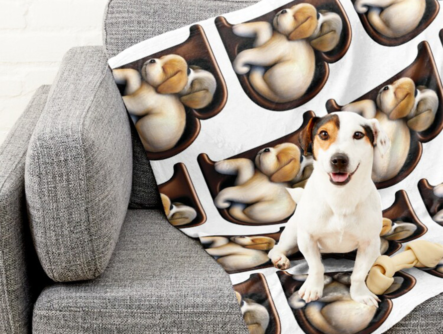 Dog on a couch draped with a Puppies pet blanket