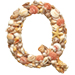 Shells type letter Q