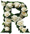 Roses type letter R