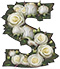 Roses type letter S