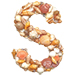 Shells type letter S