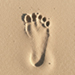 Sand