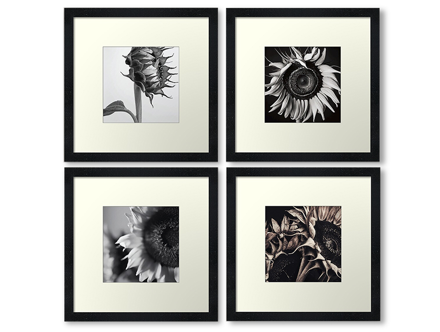 SUNFLOWERS ART