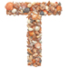 Shells type letter T