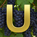 Vineyard type letter U