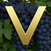 Vineyard type letter V