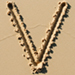 Sand type letter V