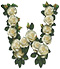 Roses type letter W