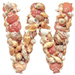 Shells type letter W