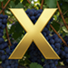 Vineyard type letter X