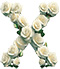 Roses type letter X