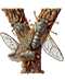 Cicada letter Y