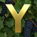 Vineyard type letter Y