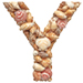 Shells type letter Y