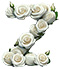 Roses type letter Z