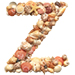 Shells type letter Z