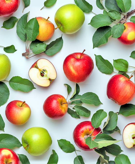 APPLE PATTERN 